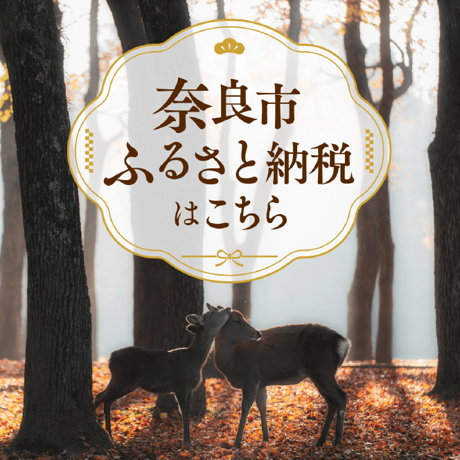 奈良市ふるさと納税はこちら